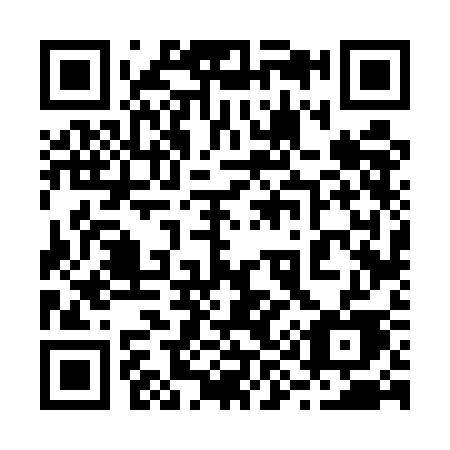 QR code for plate 29-65CE