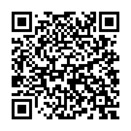 QR code for plate 29-65EM