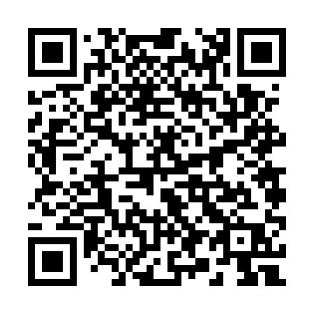 QR code for plate 29-65QP