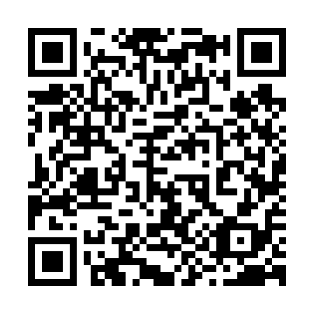 QR code for plate 29-6618