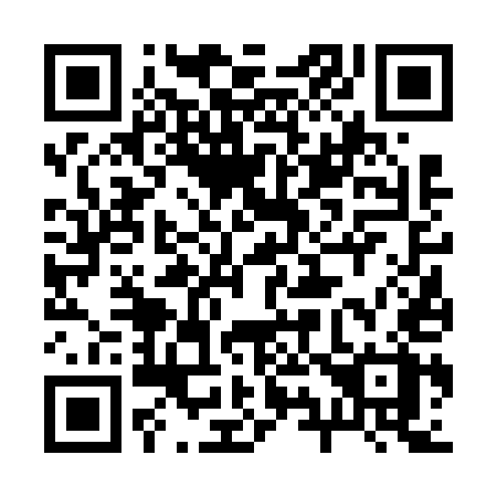 QR code for 29665X