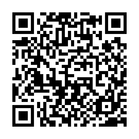 QR code for plate 29-6717