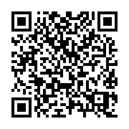 QR code for 29699Q