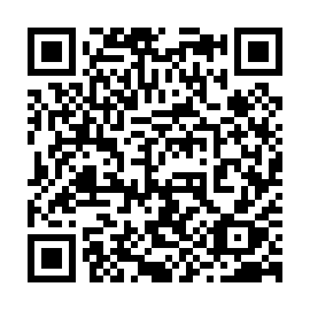 QR code for plate 29-701X