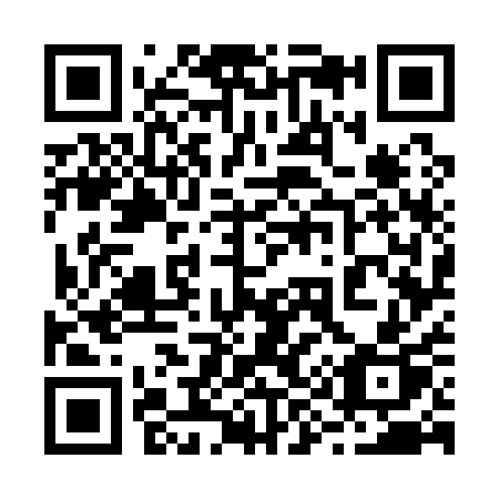 QR code for 29711P
