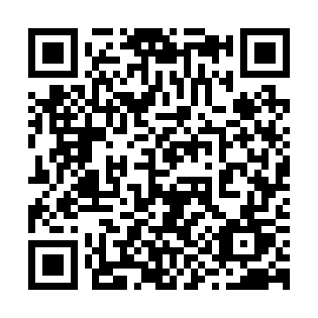 QR code for plate 29-727T