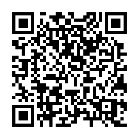 QR code for 29733P
