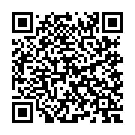 QR code for plate 29-78LH