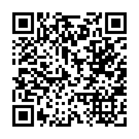QR code for plate 29-79ZN
