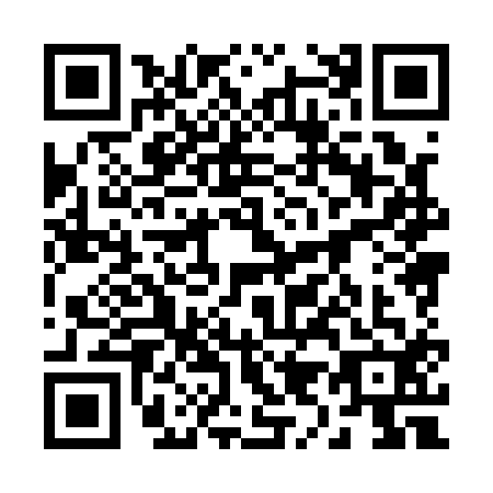 QR code for plate 29-81123