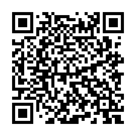 QR code for plate 29-81JJ
