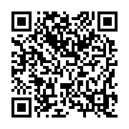 QR code for plate 29-838O