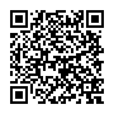 QR code for plate 2-98528