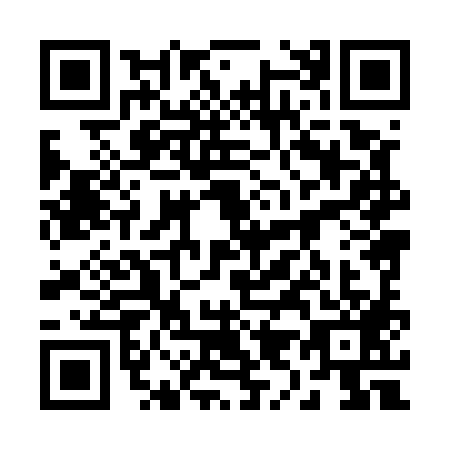 QR code for plate 29-85893