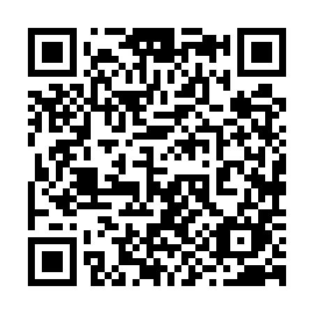 QR code for plate 29-85PM