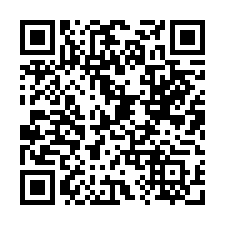 QR code for plate 29-86DS