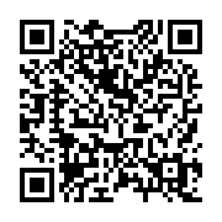 QR code for plate 29-893M