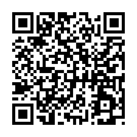 QR code for plate 2-9905