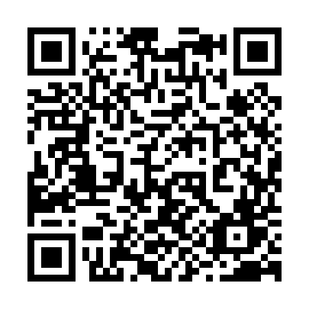 QR code for 29905V