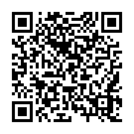 QR code for plate 29-90UZ