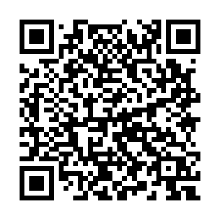 QR code for plate 29-916P