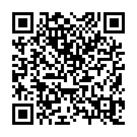 QR code for 2991KI