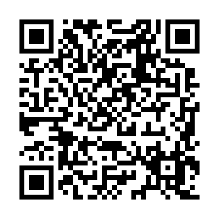 QR code for plate 2-9928