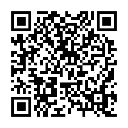 QR code for 29933N
