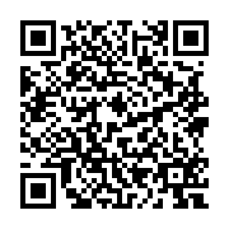 QR code for 2995160