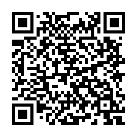 QR code for 29951N