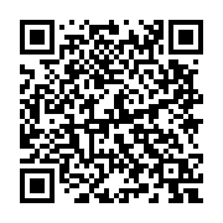 QR code for plate 29-953R