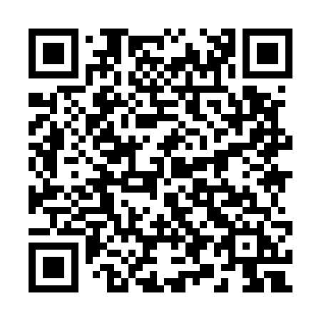 QR code for plate 29-956H