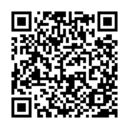 QR code for 2995MR