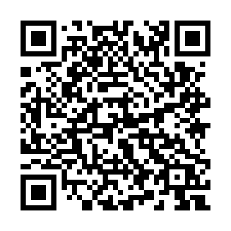 QR code for plate 29-95PR