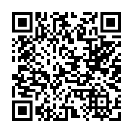 QR code for 29969Y