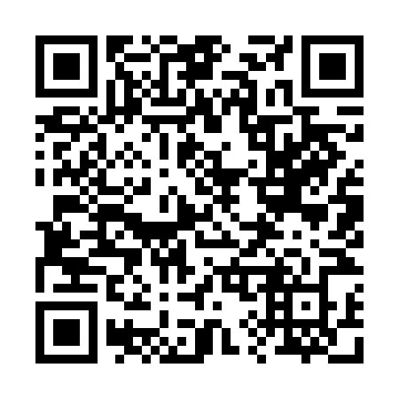QR code for plate 29-96NZ