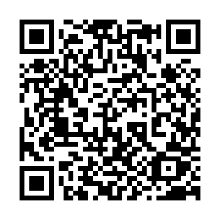 QR code for 29980Z