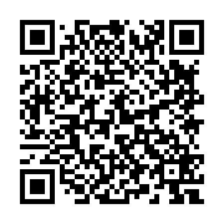 QR code for plate 29-9869