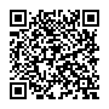 QR code for 29991X