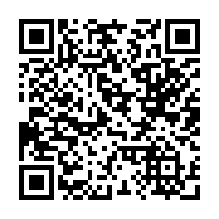 QR code for 29991Y