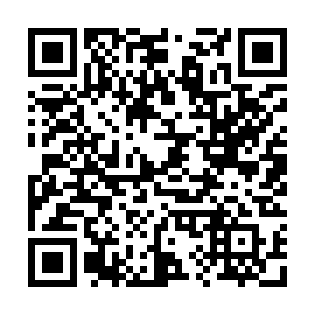 QR code for plate 29-992Q