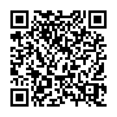 QR code for plate 29-99AR