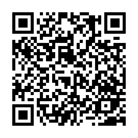 QR code for 29DJT