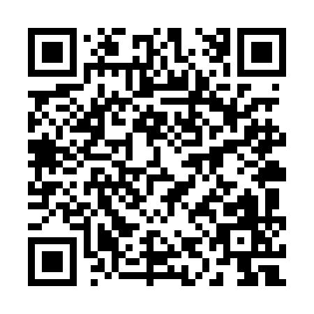 QR code for 29LPI