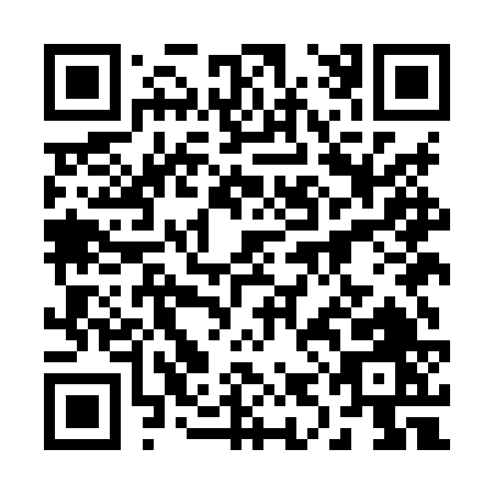QR code for 29MHV