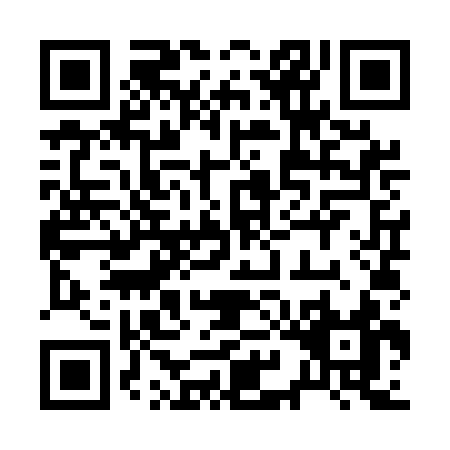 QR code for 29MUC