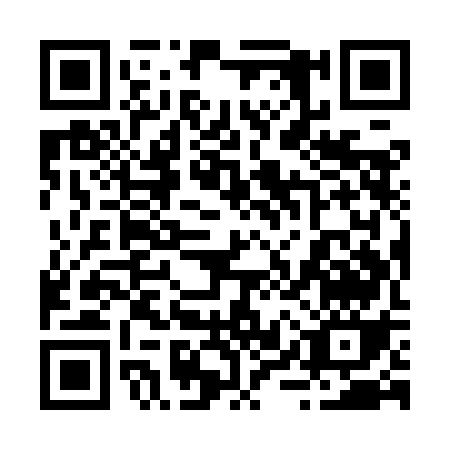QR code for 29YYG