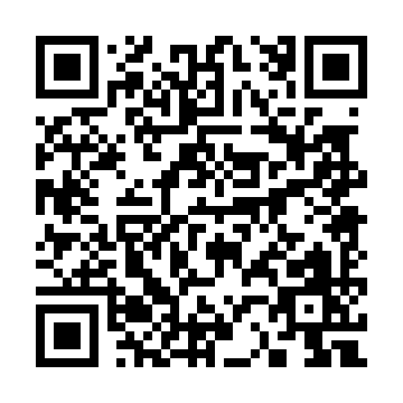 QR code for 3-2009
