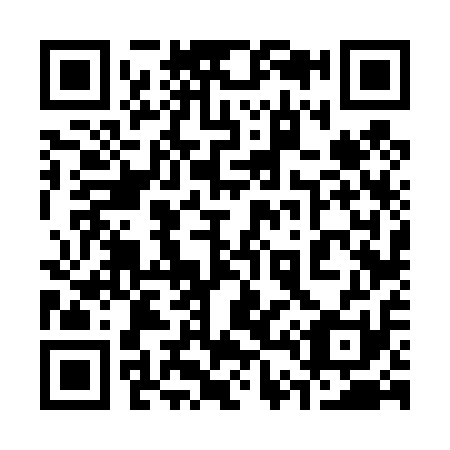 QR code for 3-46411