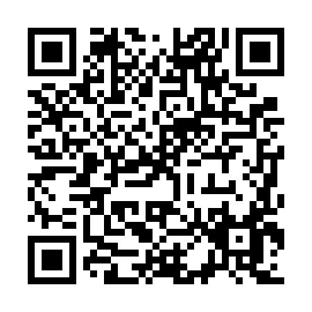 QR code for 3006I